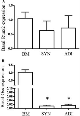 Basal and inducible Osterix expression reflect equine mesenchymal progenitor cell osteogenic capacity